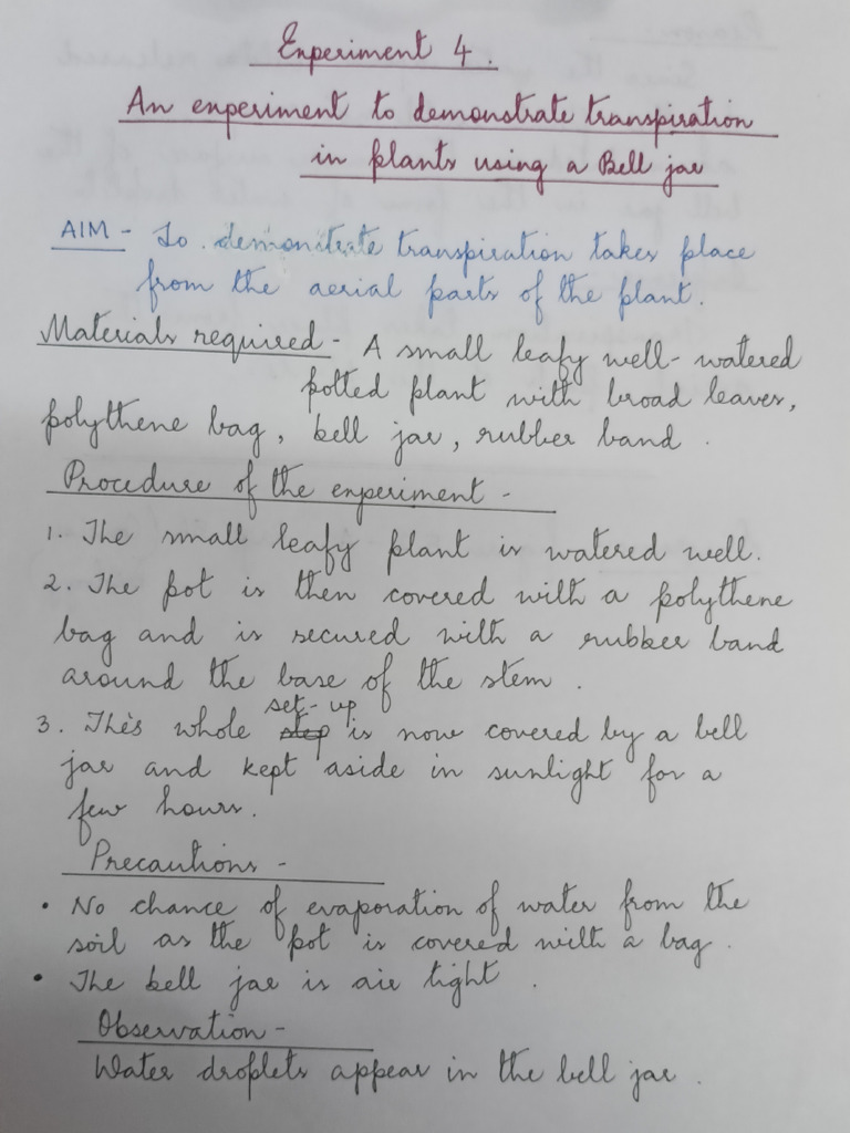 Bio Practical 4 9999 Pdf