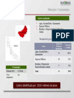 Ficha Resumen Coscomatepec