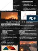 Bushfire and It's Impact