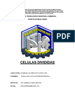 Celulas Divididas