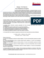 09 Lista de Exercícios - Metabolismo Energético - 230812 - 083145