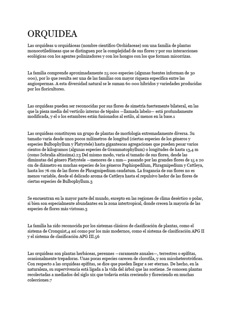 orquidea-pdf-flores-ra-z