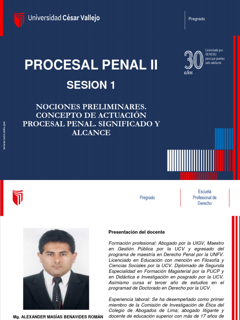 Introducción al Proceso Penal II | PDF | Ley procesal | Derecho penal