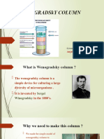 Wenogradsky Column College Presentation