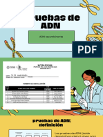 Pruebas de ADN - 3G