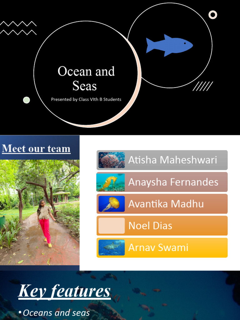 Ocean and Seas | PDF