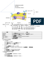 ch03c 橫跨細胞膜的物質移動