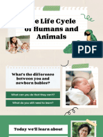 Life Cycles of Humans and Animals Presentation