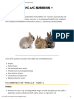 Feeding Your Rabbit - Diet Requirements, Pellets V Hay, Greens and Treats - Vetwest Animal Hospitals