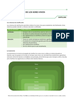 Resumen Lo Esencial La Clasificacion de Los Seres Vivos 186498