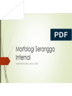 Materi Minggu 5. Morfologi Serangga Internal