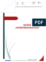 Bazele Antreprenoriatului Manual