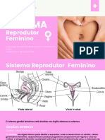 Órgão Reprodutor Feminino