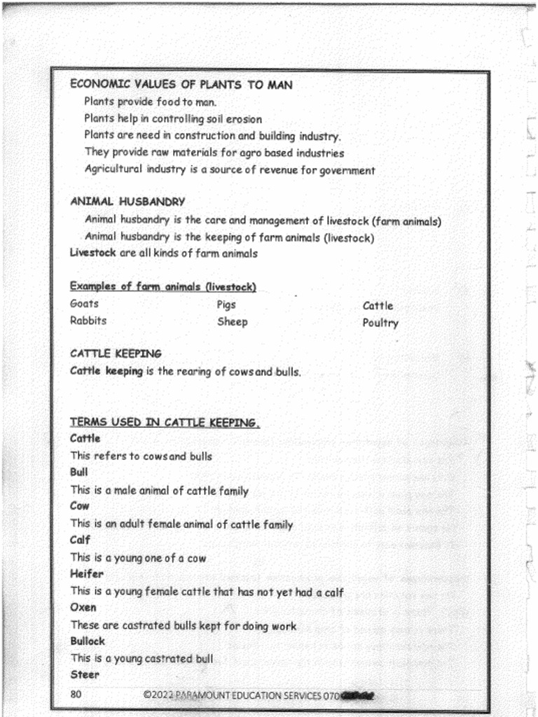 P6 Sci | PDF