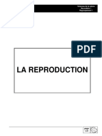 Reprod Enseigne