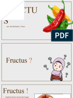 Bab Fructus Xi