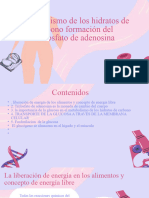 Copia de Presentación Epidemiología Medicina Profesional Turquesa - 20231114 - 125122 - 0000