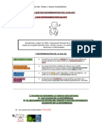 Actividades Tema 3. Anatomia