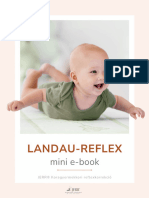 JERR e-book (Landau-reflex)