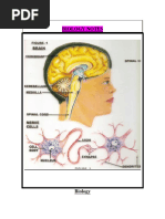 Biology Full Notes