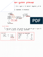 Repaso Fisiología 2