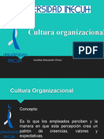 Cultura Organizacional