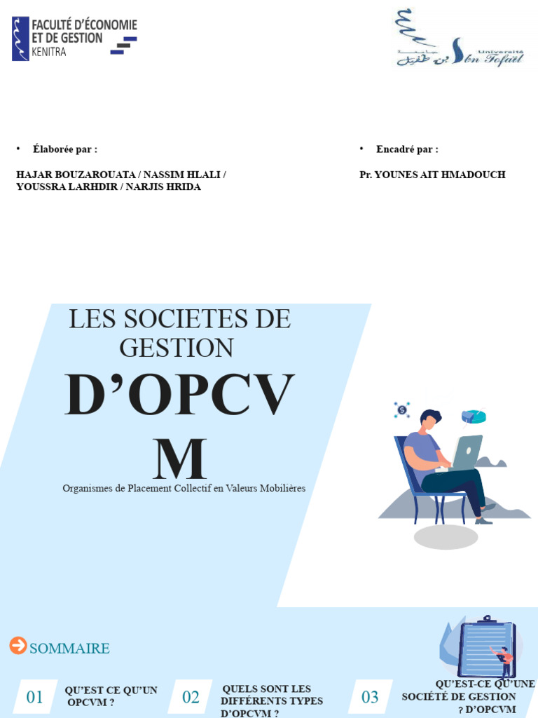 OPCVM : Guide d'Investissement au Maroc | PDF | Action (Finance ...