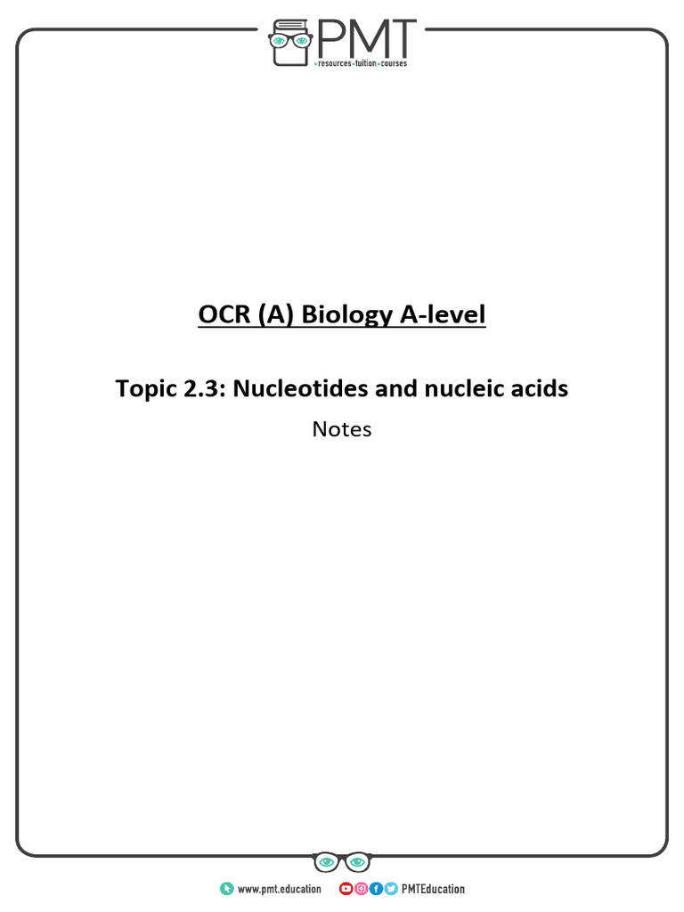2 3 Nucleotides And Nucleic Acids Pdf Translation Biology