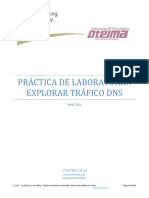 3.8.8 Lab - Explore DNS Traffic