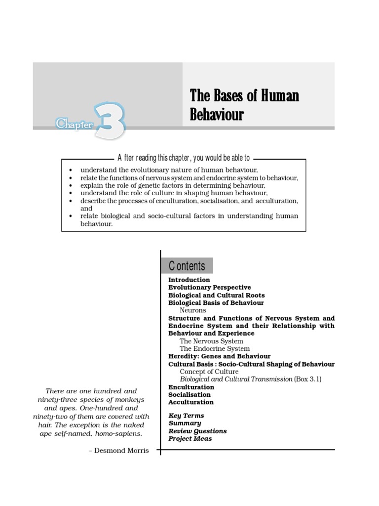 Chapter 3 | PDF
