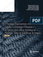 A Psicologia Organizacional e Do Trabalho e A Orientacao Profissional e de Carreira Como Praticas Formativas em Psicologia Relatos de Experiencias de Estagios Letraria