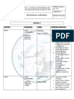 Cronograma Auditoria