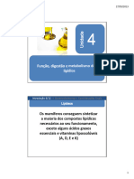 Aula 4 Lipidio Digestao Absorcao