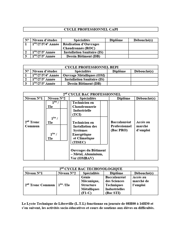 CAPI : Diplômes et Débouchés Professionnels | PDF