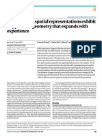 Hippocampal Spatial Representations