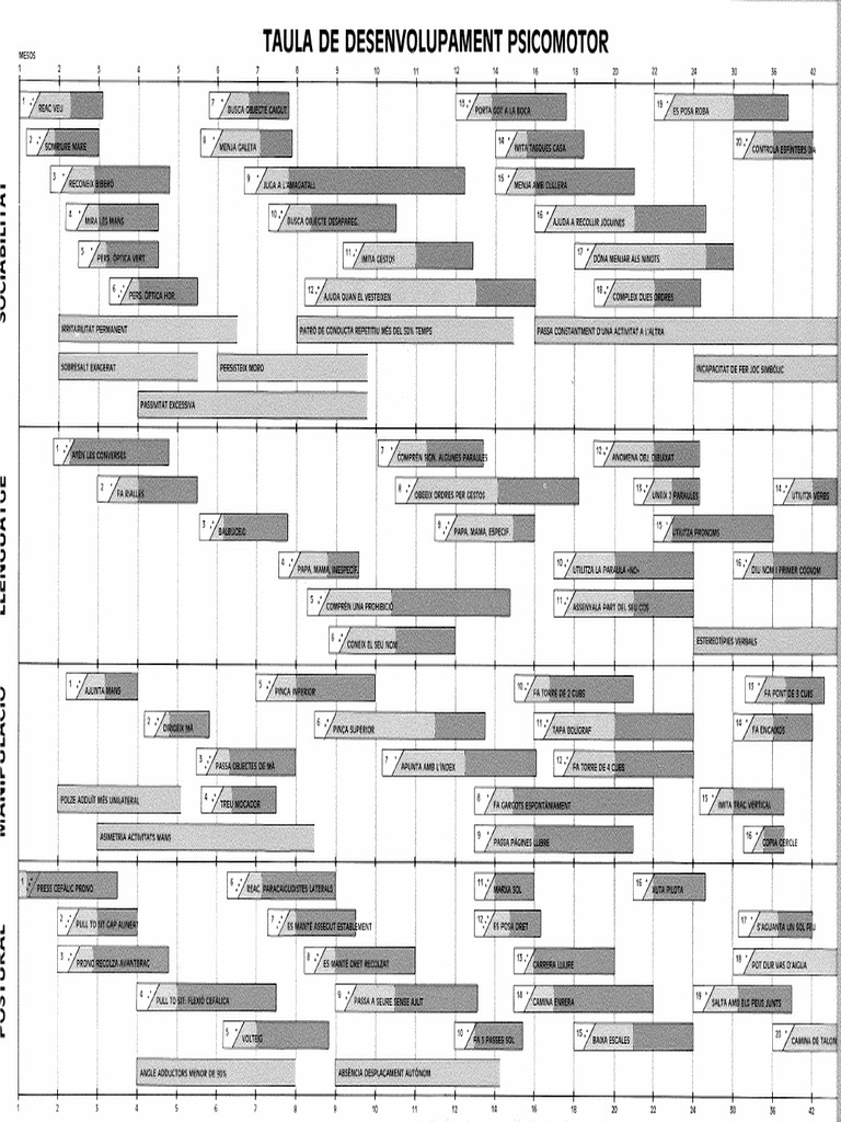 TAULA DE DESENVOLUPAMENT PSICOMOTOR_HAIZEA LLEVANT ADAPTADA PDF