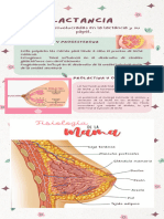 Fisiología Materna