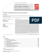 Vitamin D and Skeletal Muscle Tissue and Function