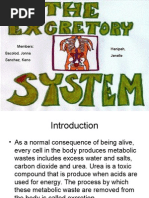 Download THE EXCRETORY SYSTEM PPT by api-3759646 SN6852224 doc pdf