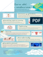 Infografia Estructura Del Sistema Endocrino