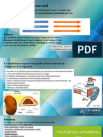 Hipoperfusion Suprarrenal