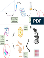 Resumen Gráfico EBEC-UNLP 2022 