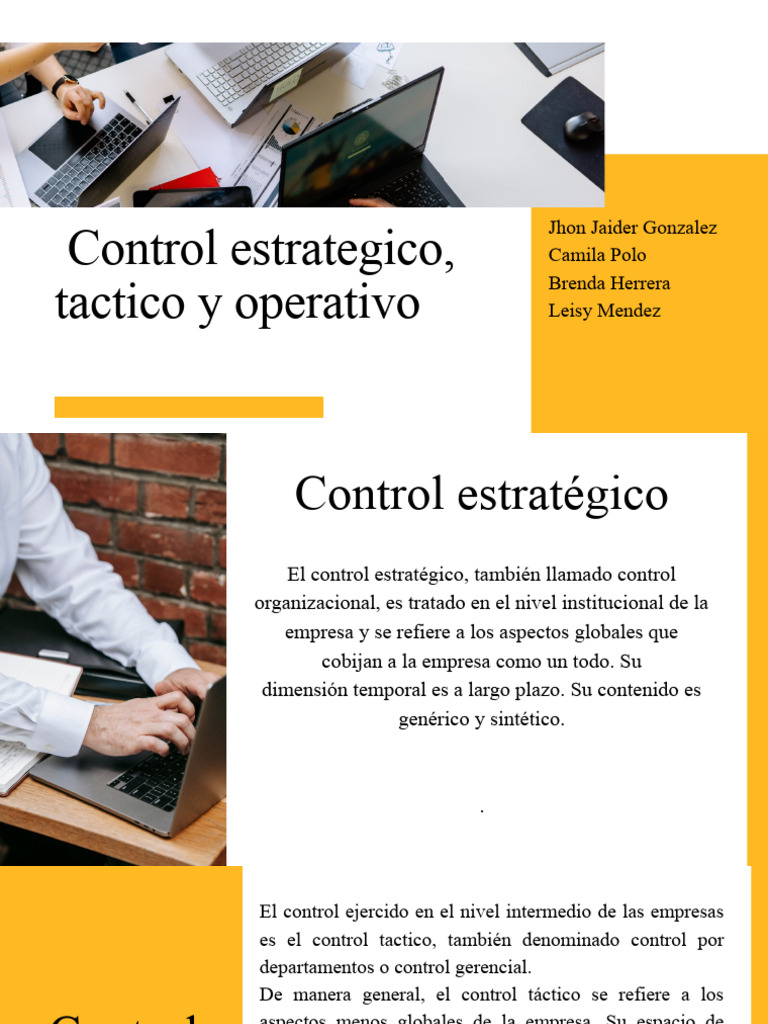 Control Estratégico y Táctico en Empresas | PDF | Negocios