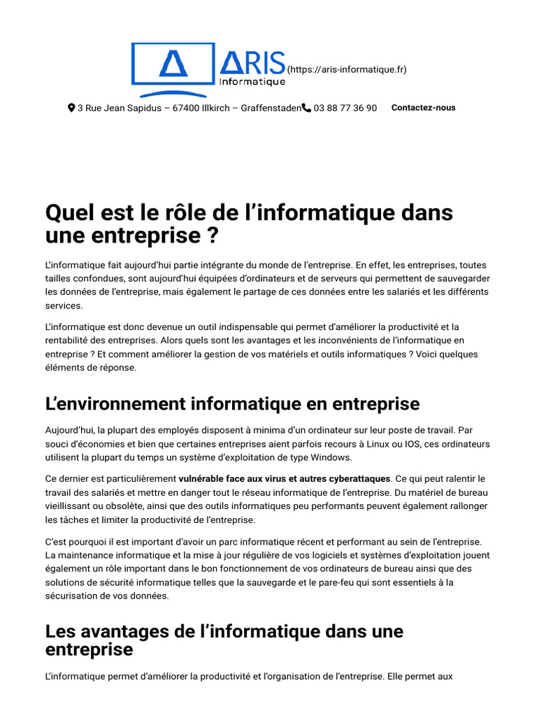 R le Et Importance De L informatique En Entreprise PDF Informatique 