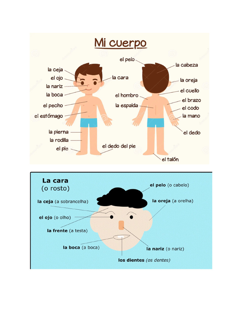 Espanhol Partes Do Corpo | PDF