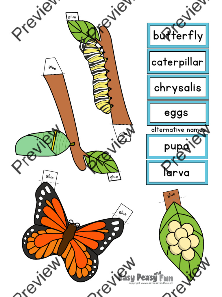 demo butterfly life cycle craft 3 ddiorama craft activity 8531748