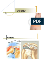 ombro-atualização-desordens-musculo-esqueleticas-ufg