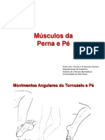 Slides - Teórica 7 - Músculos Da Perna e Pé