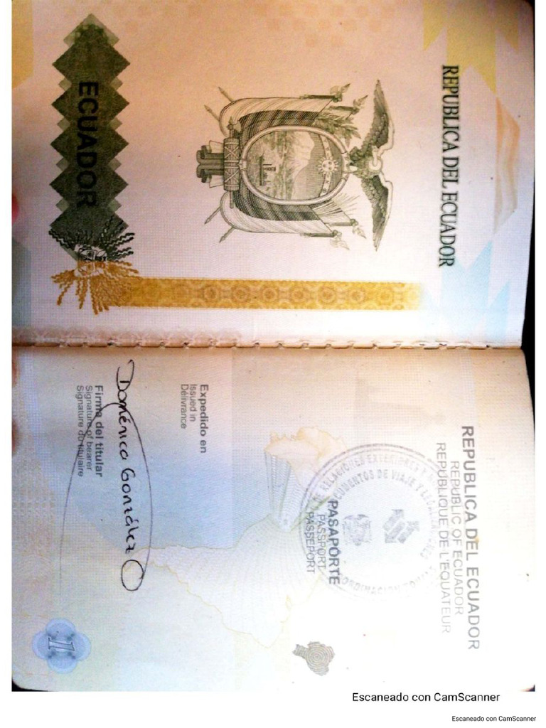 Pasaporte Antiguo Domenica Gonzalez | PDF