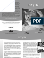 AAFP FeLV and FIV Broch-Spanish.B&W